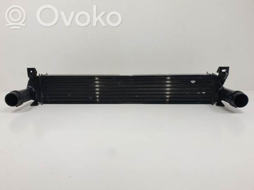 Intercooler radiator   25014780AA,AA1271004651,AA1271004651