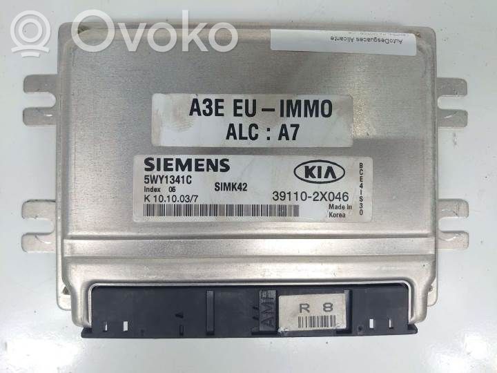 Engine control unit/module   5WY1341C,391102X046