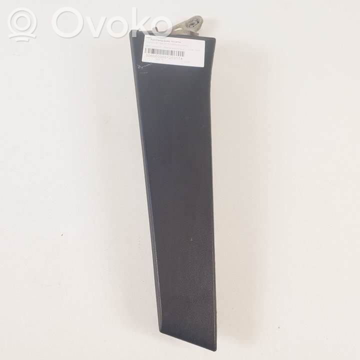 Manecilla externa puerta trasera   1P0839205,502704