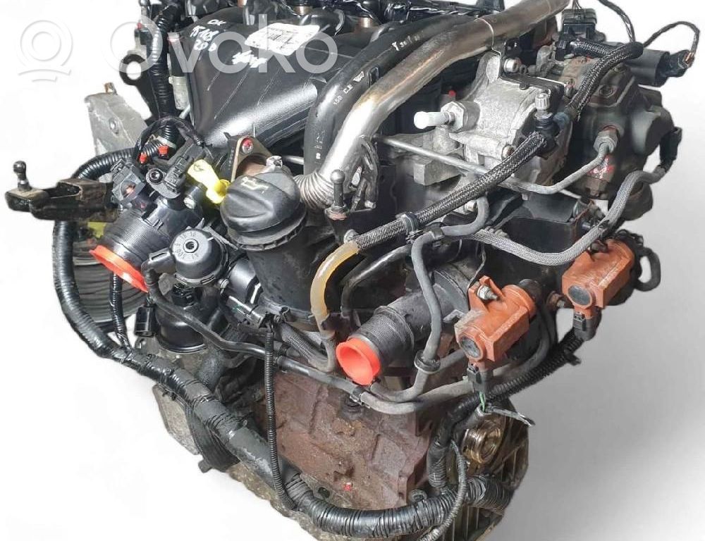 Motor   UFBB,140CV
