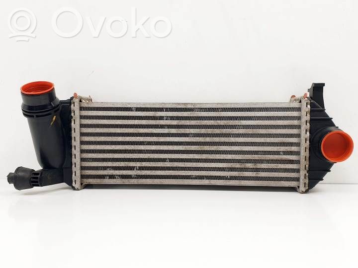 Mercedes-Benz Citan W415 Radiator intercooler