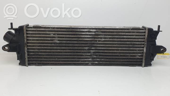 Radiatore intercooler   8200411160C
