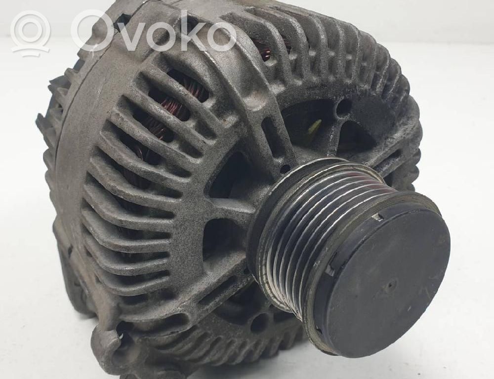 Generator/alternator   205532180004