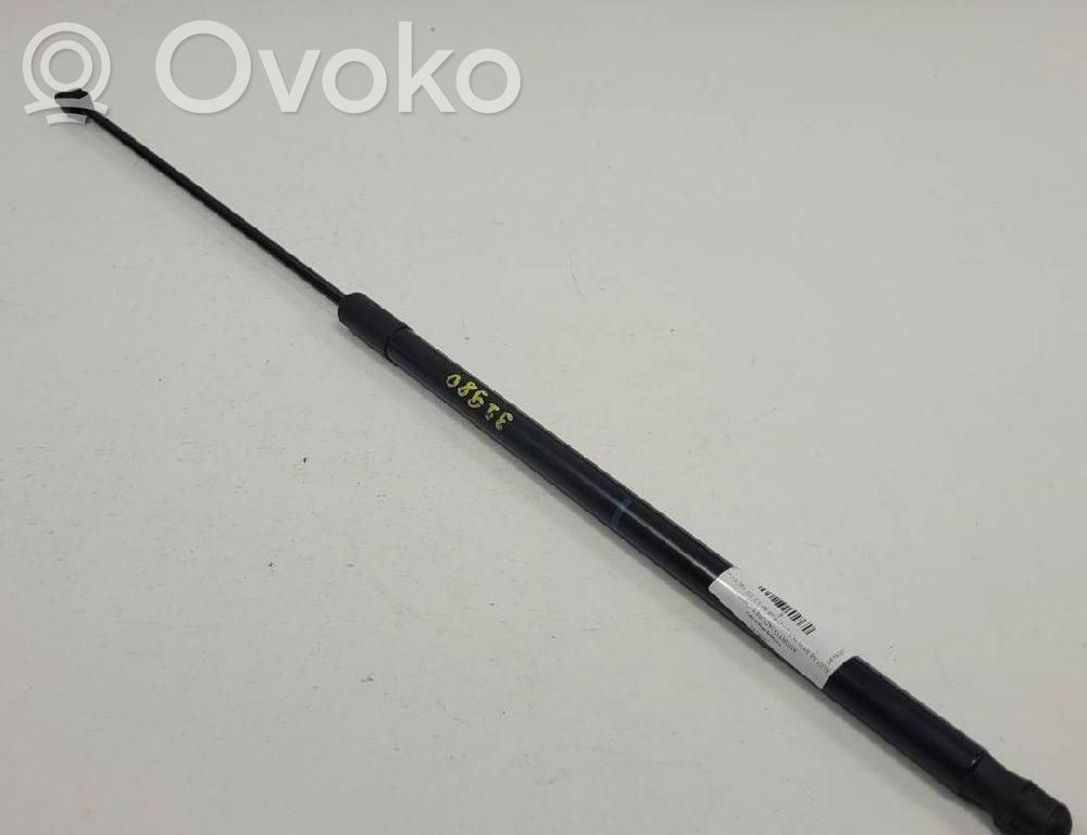 Audi A6 S6 C6 4F Ammortizzatore portellone anteriore/cofano 