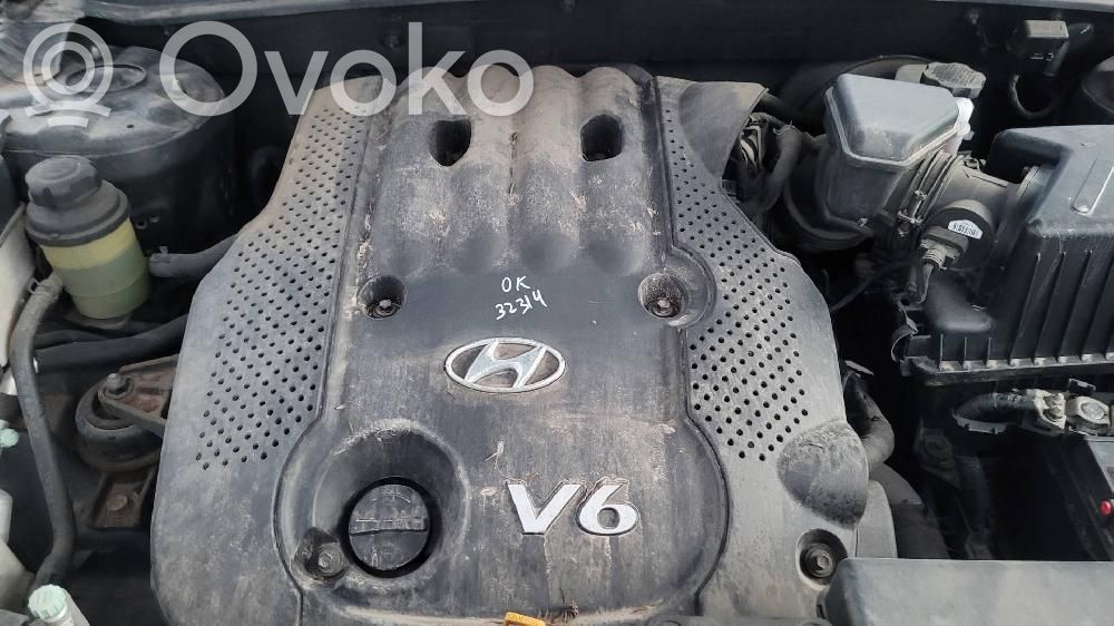 Hyundai Santa Fe Motore