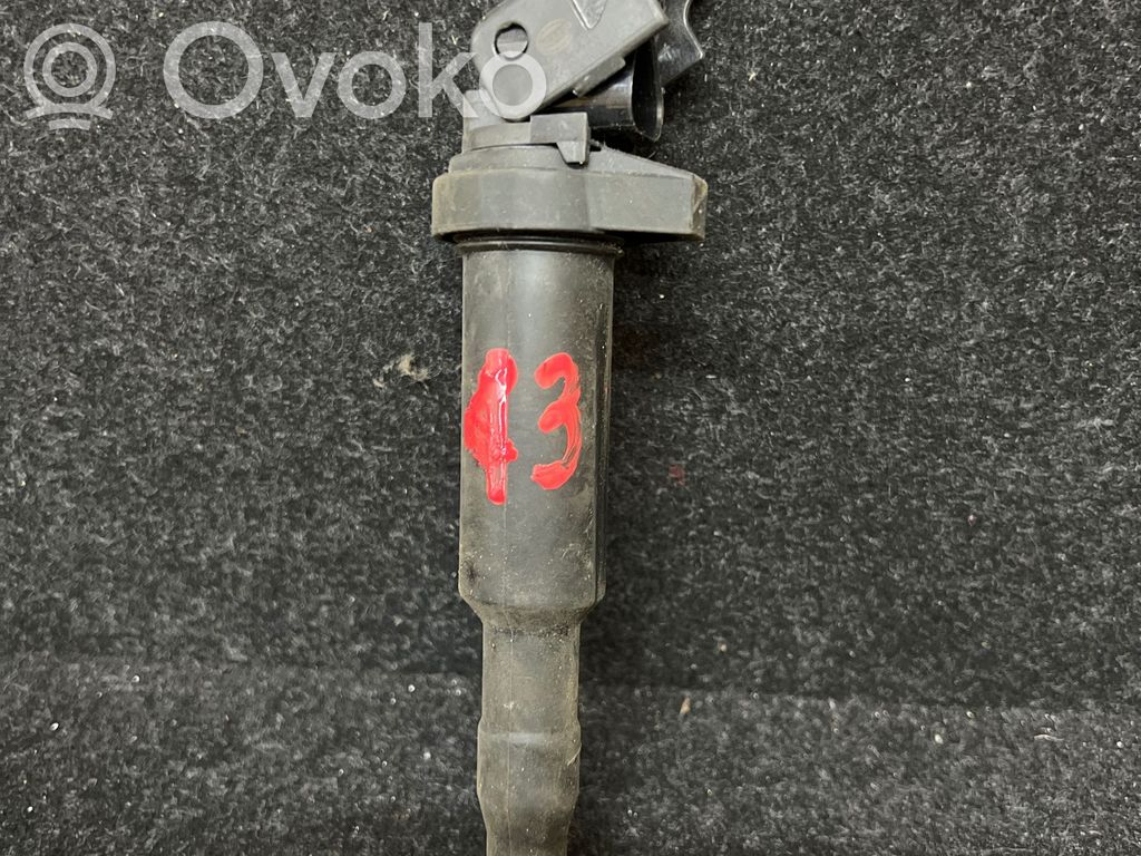 High voltage ignition coil   193175491