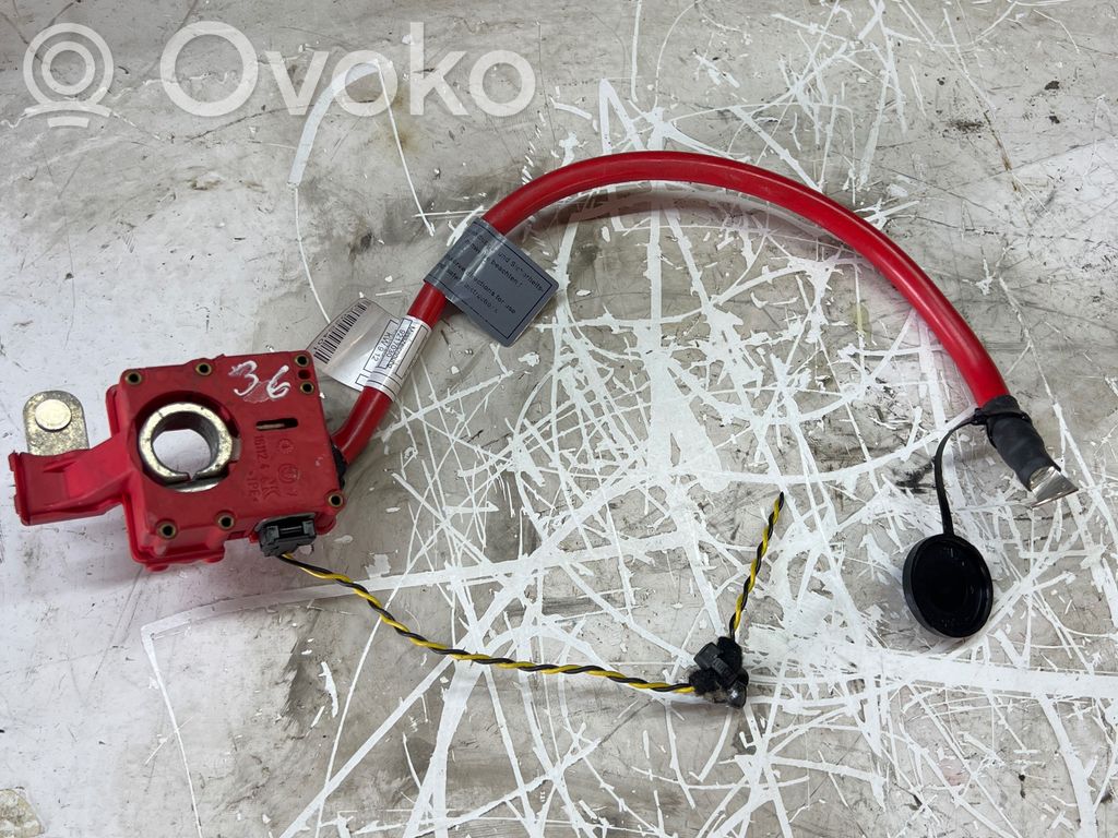 Pluskaapeli (akku)   9217030,5A02S401,9217031,EEV74Y