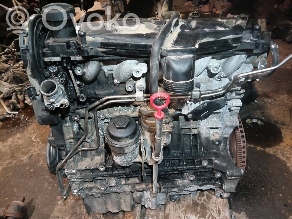 Motor   30731988