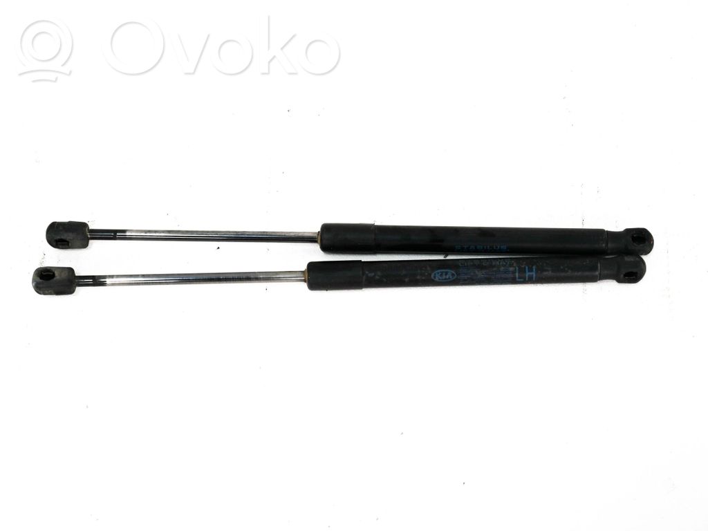 KIA Ceed Tailgate/trunk strut/damper 