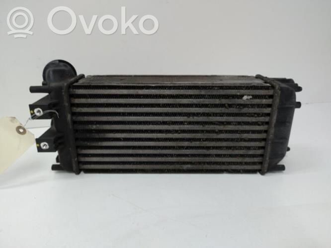 Interkūlerio radiatorius   00000384N9