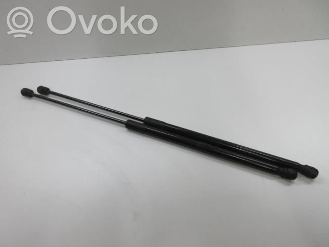 Tailgate/trunk strut/damper   39089134