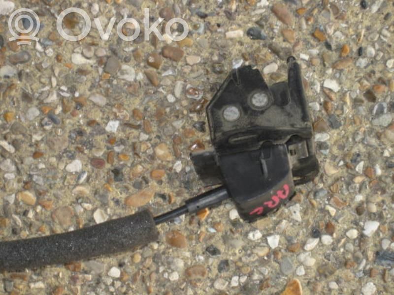 Renault Master III Tailgate exterior lock 