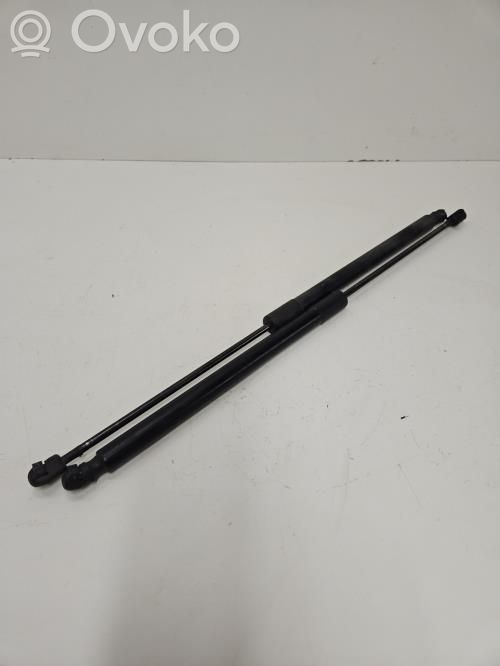 Tailgate/trunk strut/damper   1683644