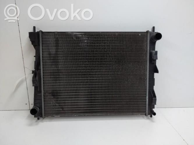Renault Clio III Radiator lichid răcire 