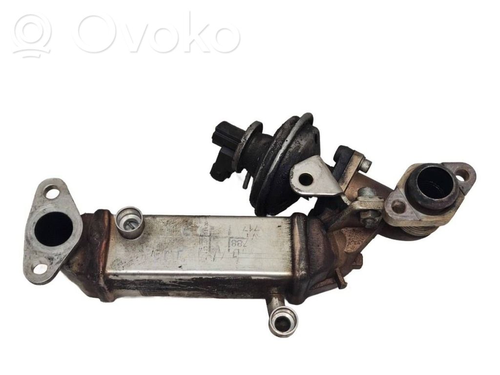 BMW 5 E60 E61 EGR aušintuvas 