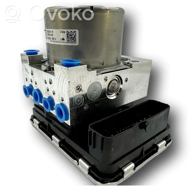 ABS control unit/module   5B33819,5B33818