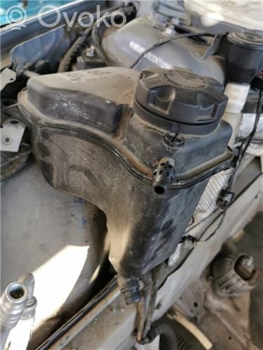 Fuel expansion tank