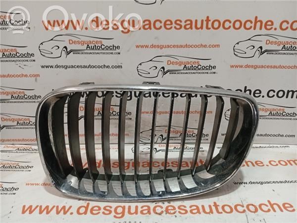 Front bumper lower grill