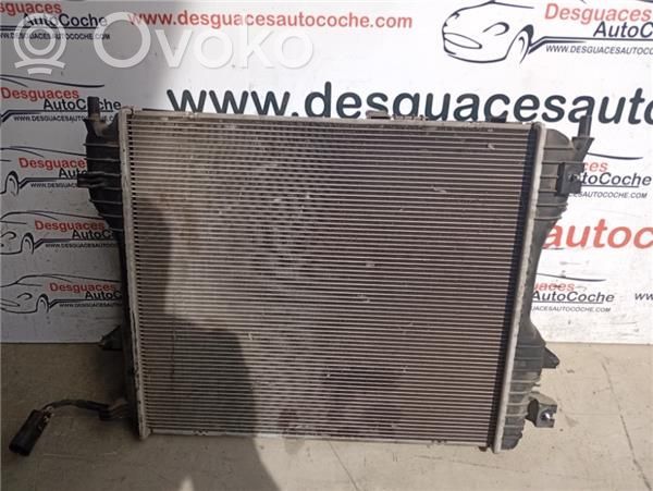 Jaguar XF X250 Engine oil radiator 