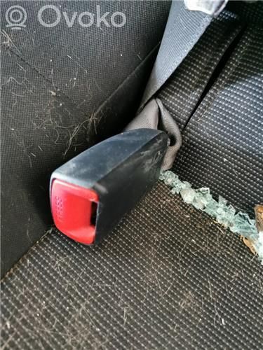 Cinturón trasero