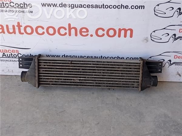 Intercooler radiator