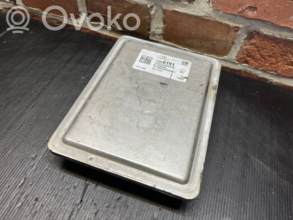 Motorsteuergerät ECU   12666191,1310101000000X,811839393