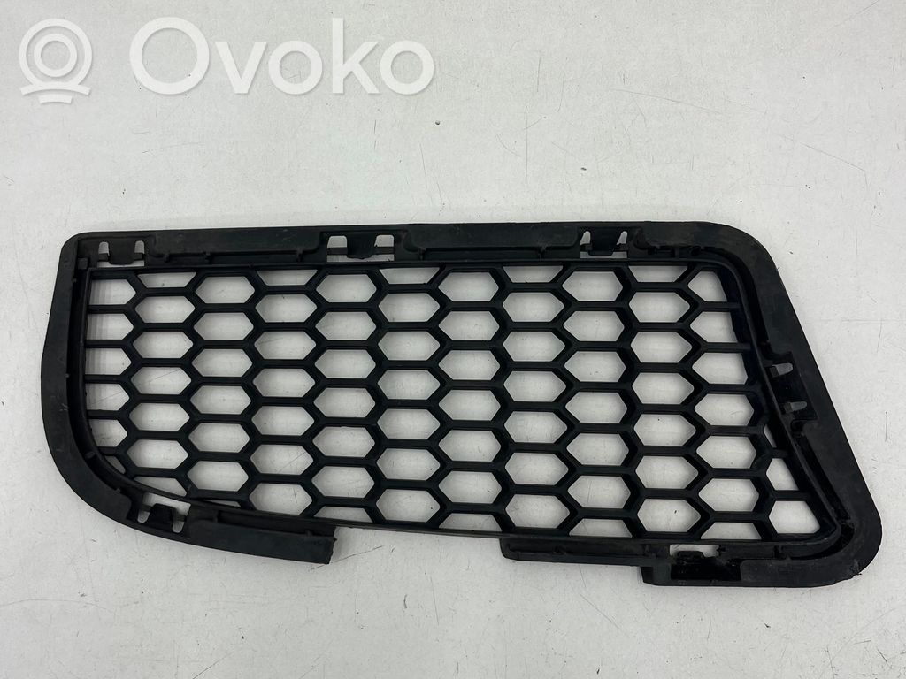 BMW M5 Front bumper lower grill 