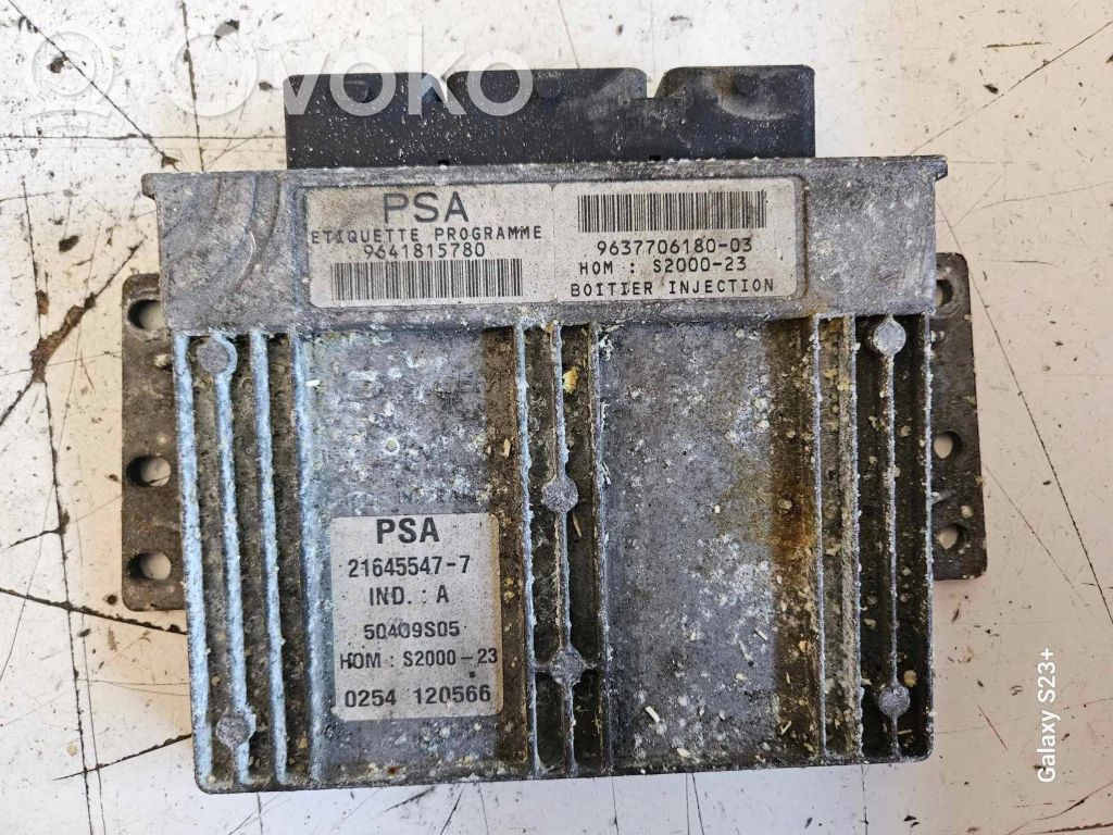 Peugeot 206 Engine control unit/module 