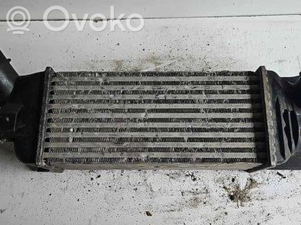 Peugeot 407 Interkūlerio radiatorius 