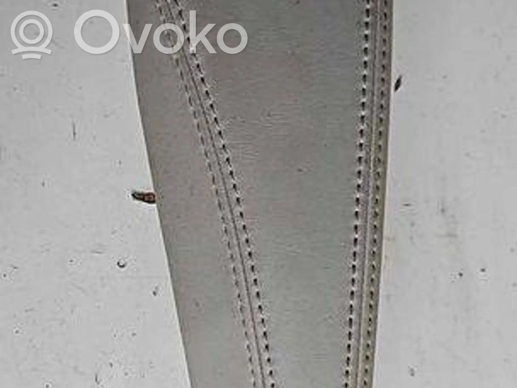 Chrysler Pacifica Rear seat armrest 