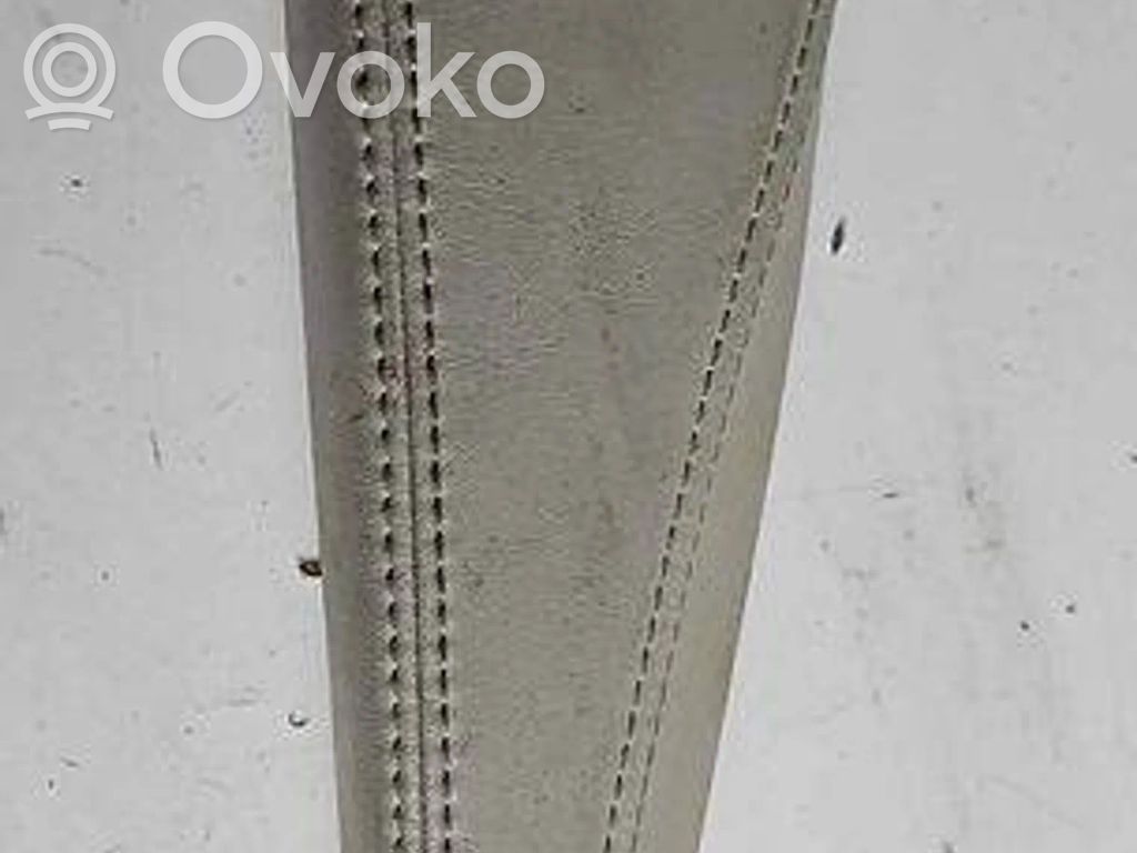 Chrysler Pacifica Armlehne des Rücksitzes 