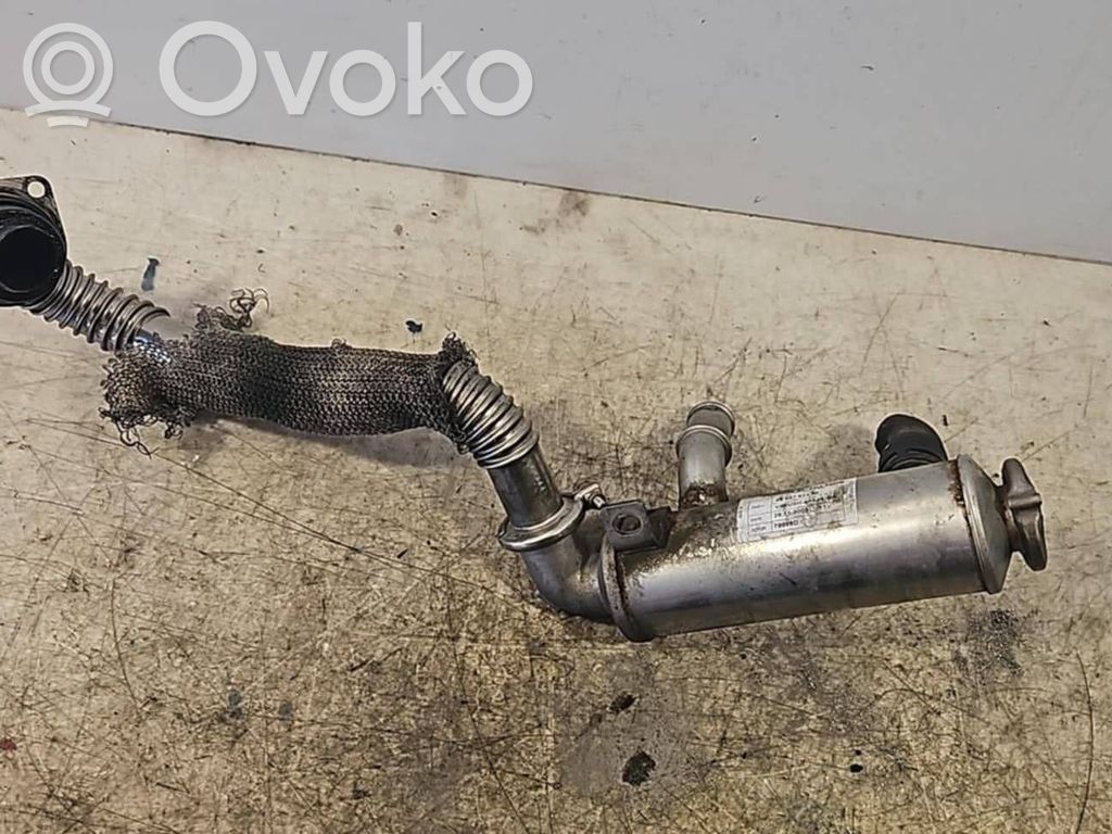 Peugeot Expert EGR valve cooler 