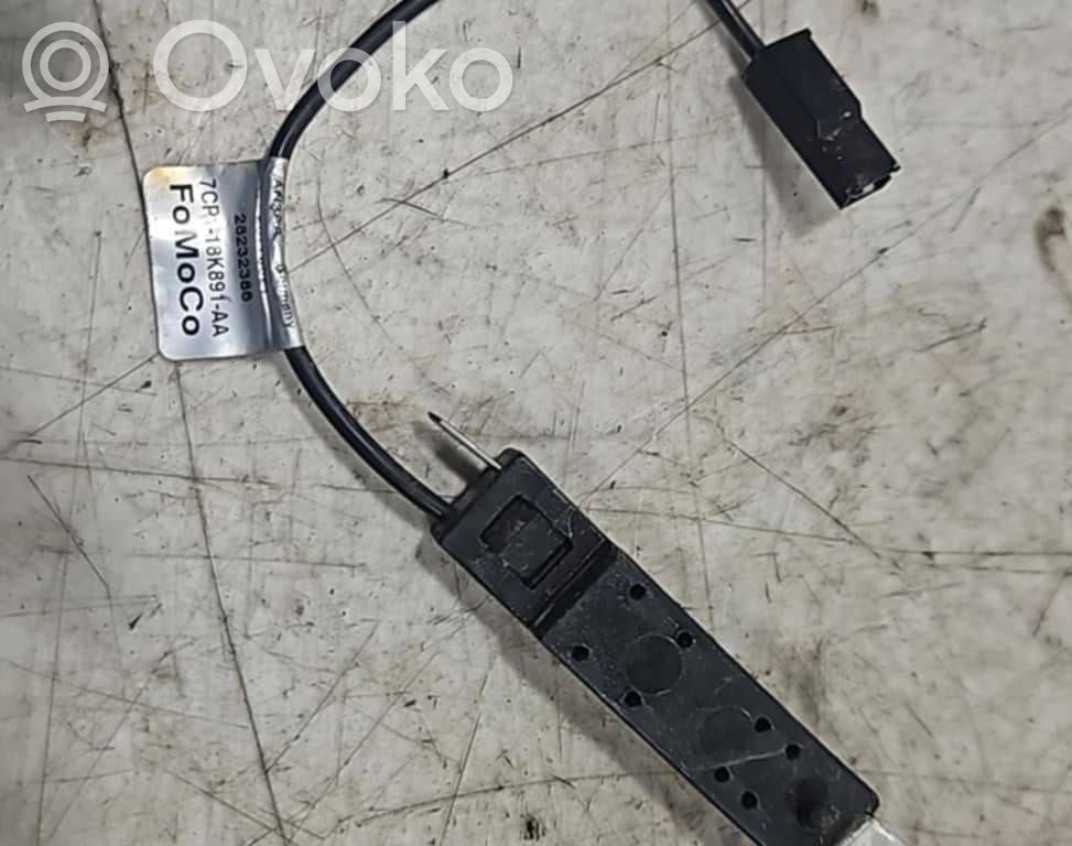 Ford Focus Antenos stiprintuvas 