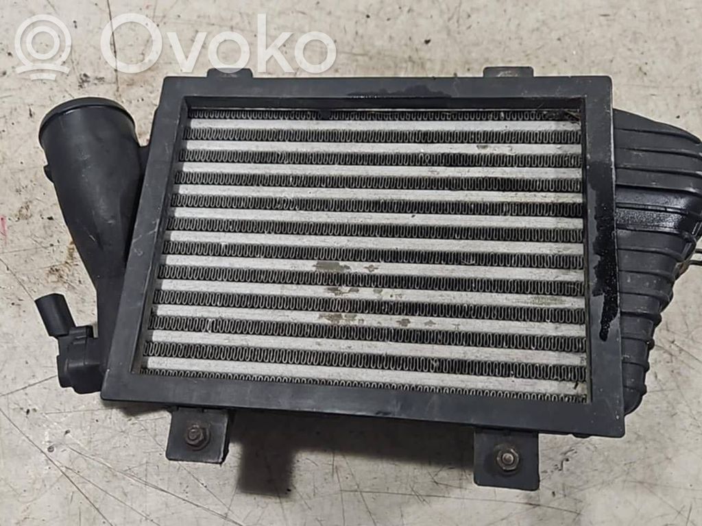 Volkswagen Transporter - Caravelle T4 Interkūlerio radiatorius 