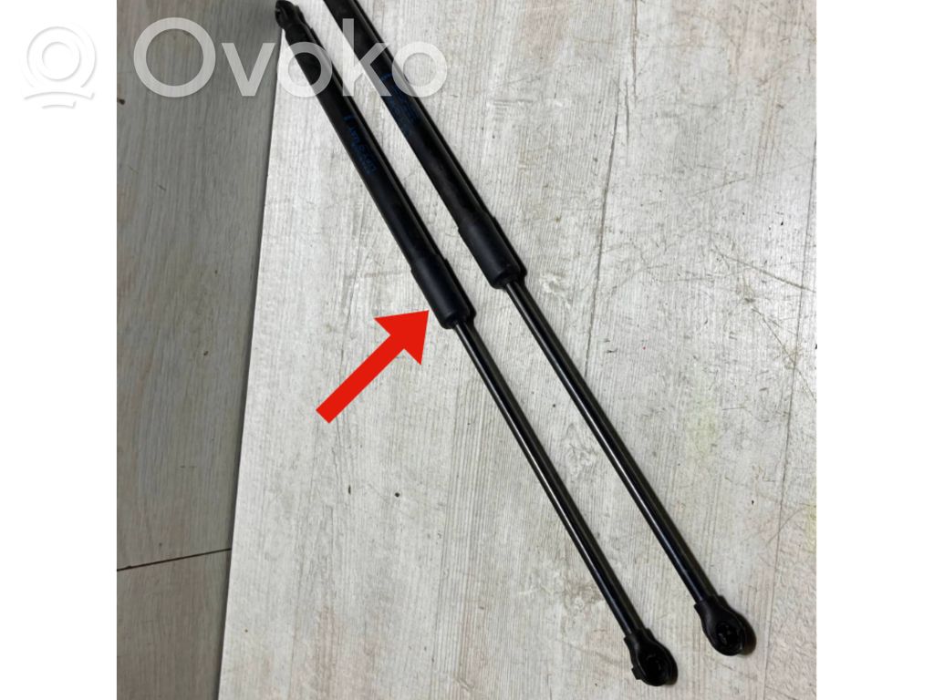 Renault Clio V Tailgate strut 
