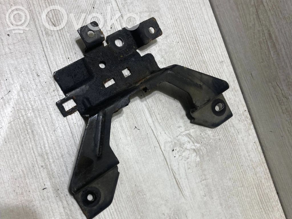 Ford B-MAX Engine bonnet/hood hinges 