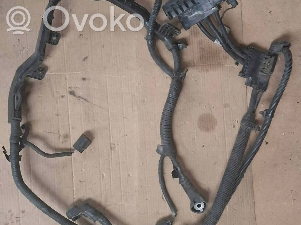 KIA Ceed Pliusinis laidas (akumuliatoriaus) 