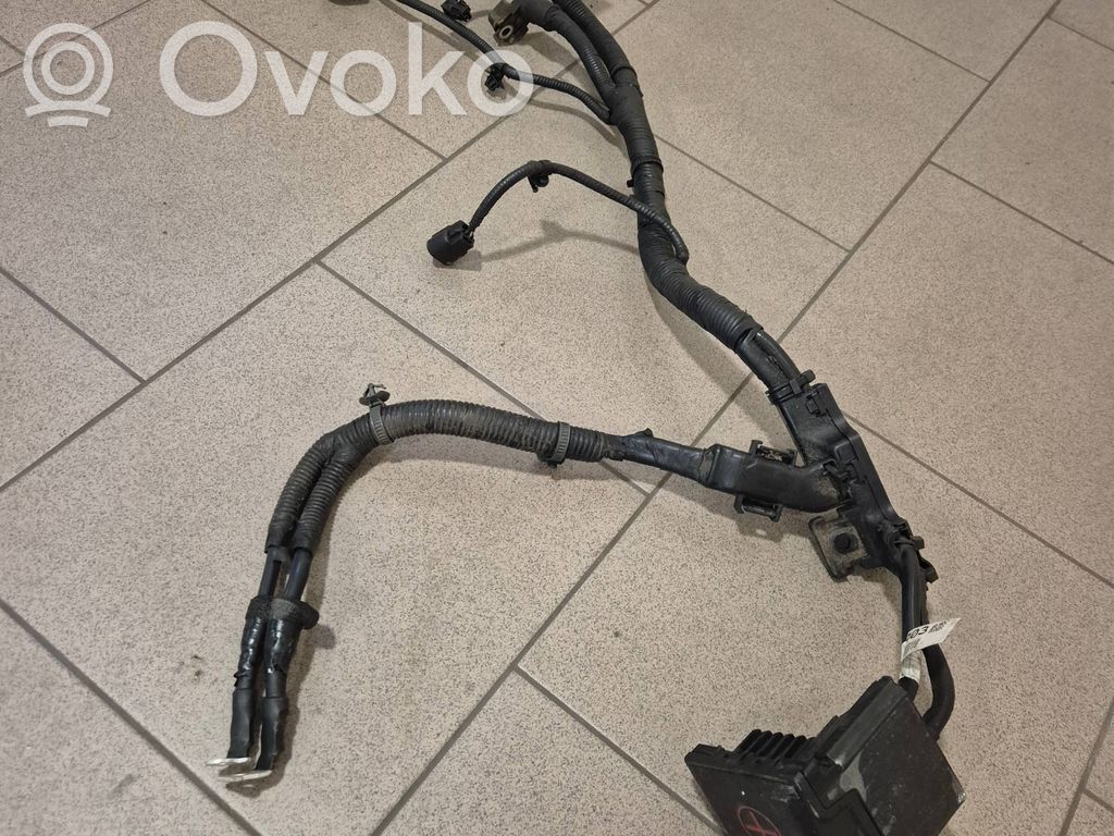 KIA Xceed Cable positivo (batería) 
