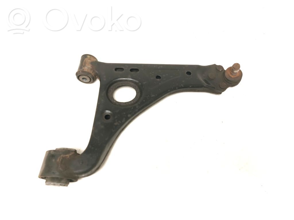 Dakša   94540669
