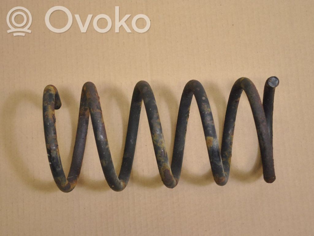 Rear coil spring