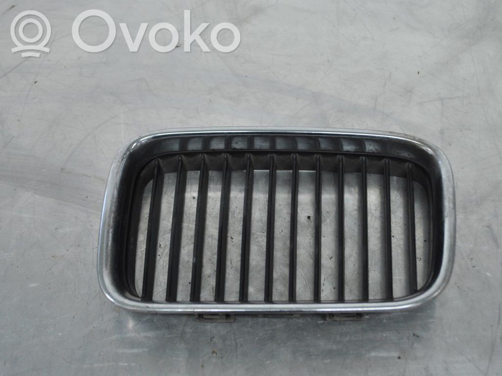 Front bumper lower grill