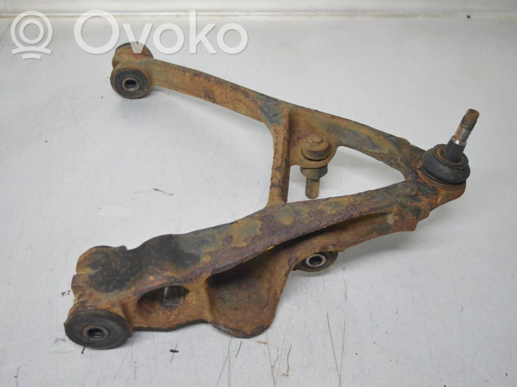 Front lower control arm/wishbone