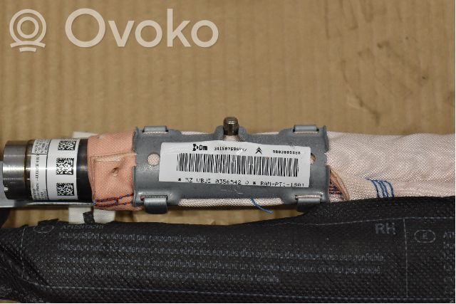 Airbag da tetto   9803005880