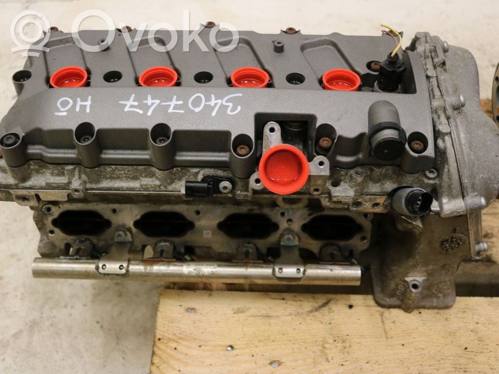 Galvutė   079103064CH