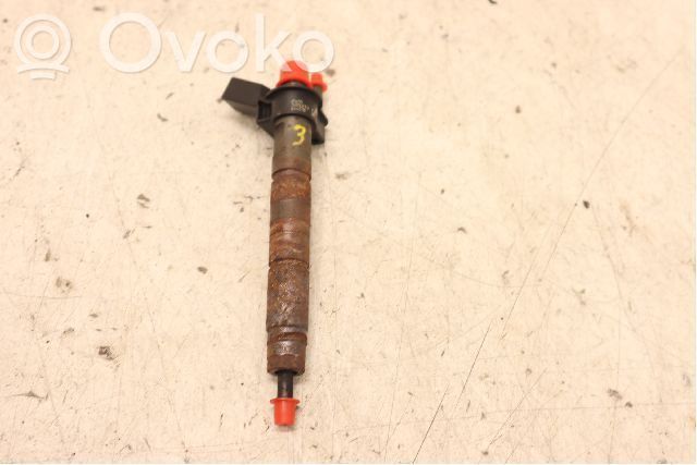 Inyector de combustible   13537797877,13537805428