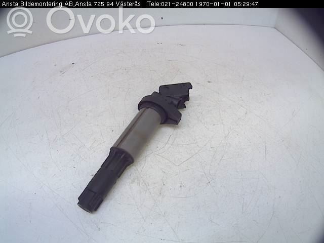 Suurjännitesytytyskela   171221908,0221504100