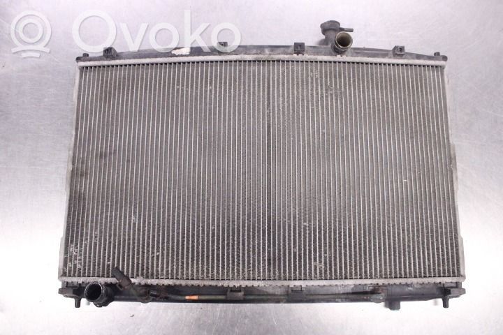 Radiatore di raffreddamento   253102B100