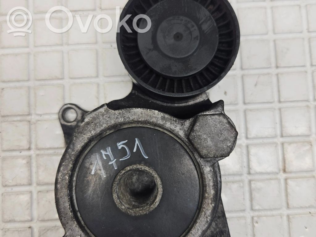 Toyota Avensis T270 Întinzător curea generator/alternator 
