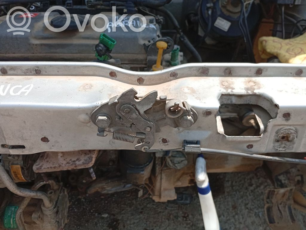 Citroen Saxo Tvirtinimo kablys / kilpa 