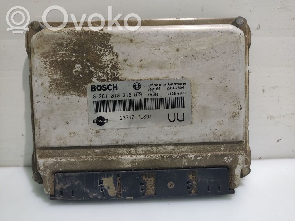 Nissan Primera Engine control unit/module 